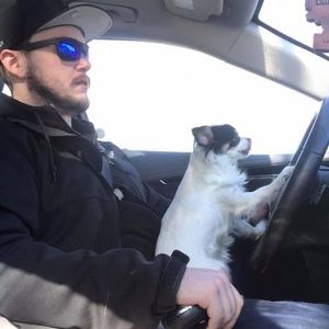 Meet your Posher, Francis evan chester